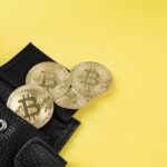 Best Wallets for Staking and Earning Rewards